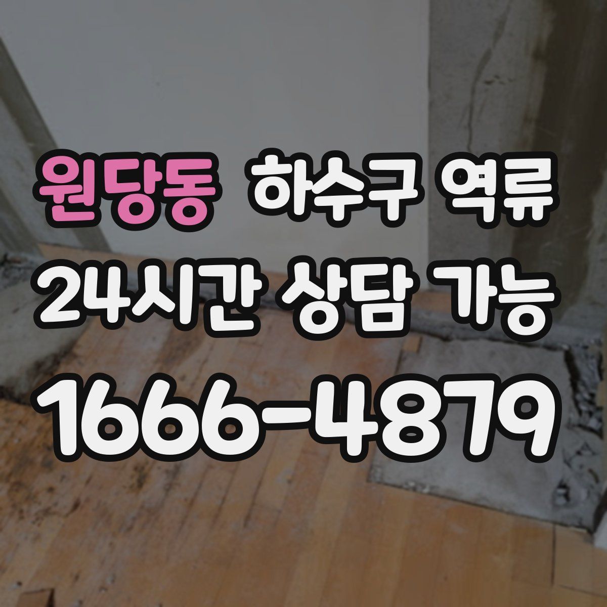 원당동 하수구 역류