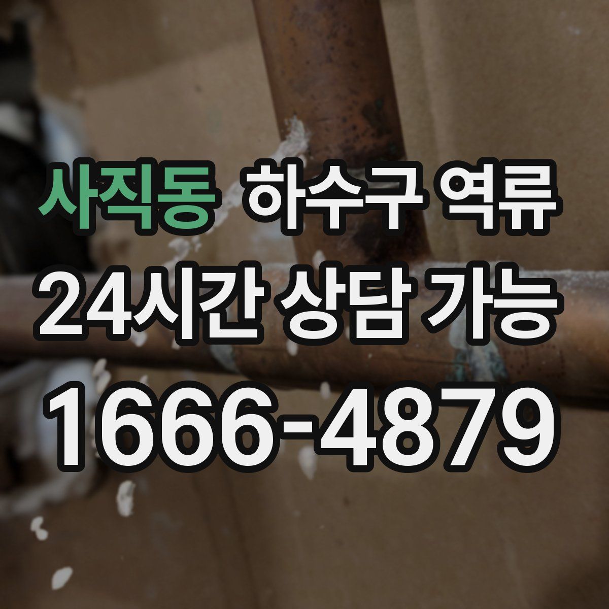 사직동 하수구 역류