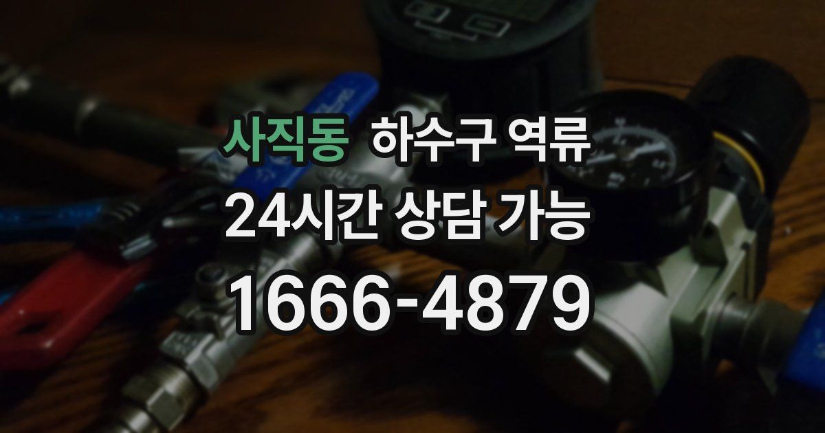 사직동 하수구 역류