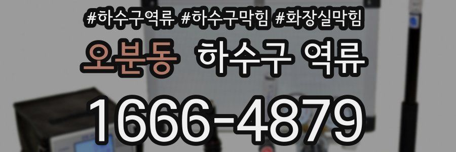 오분동 하수구 역류