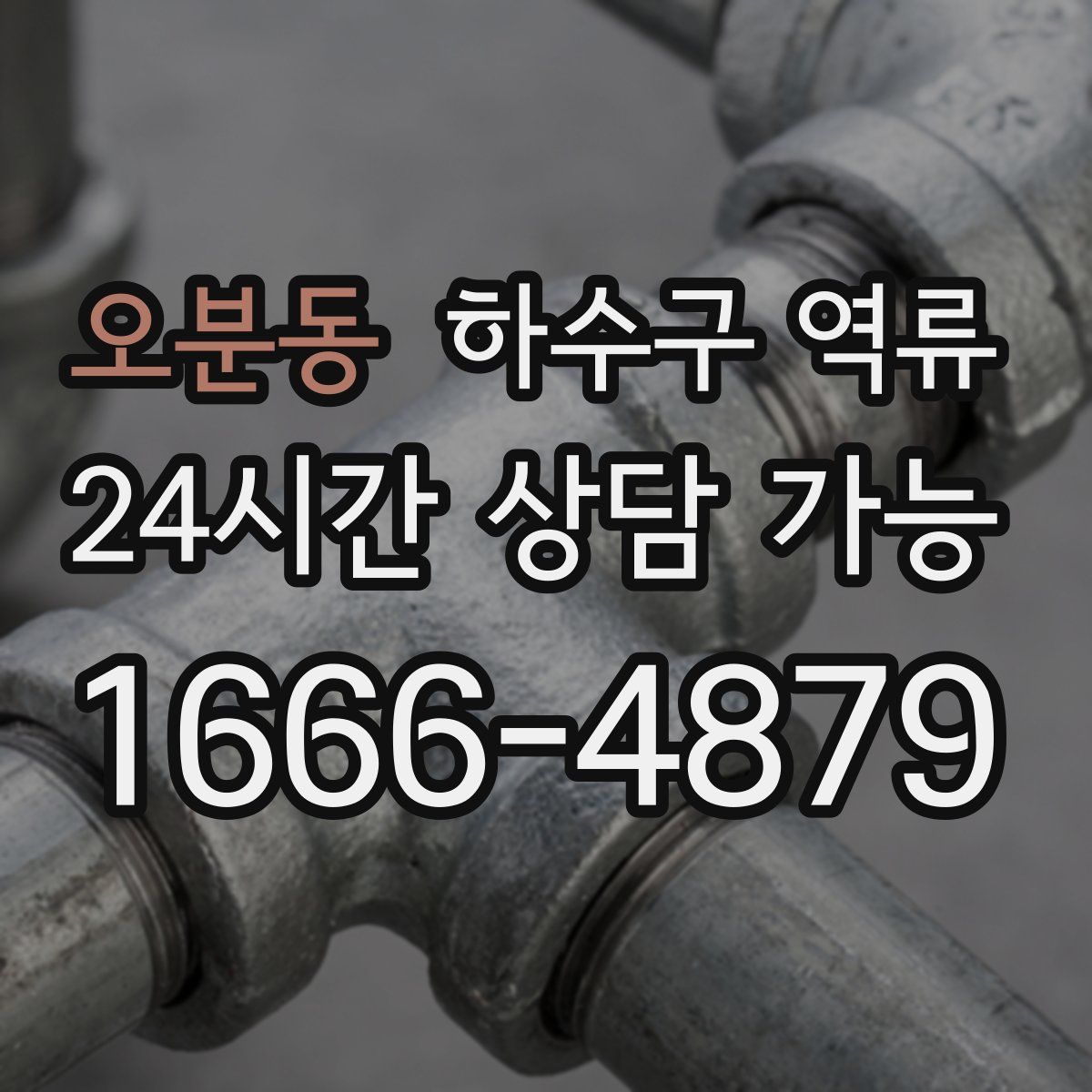 오분동 하수구 역류