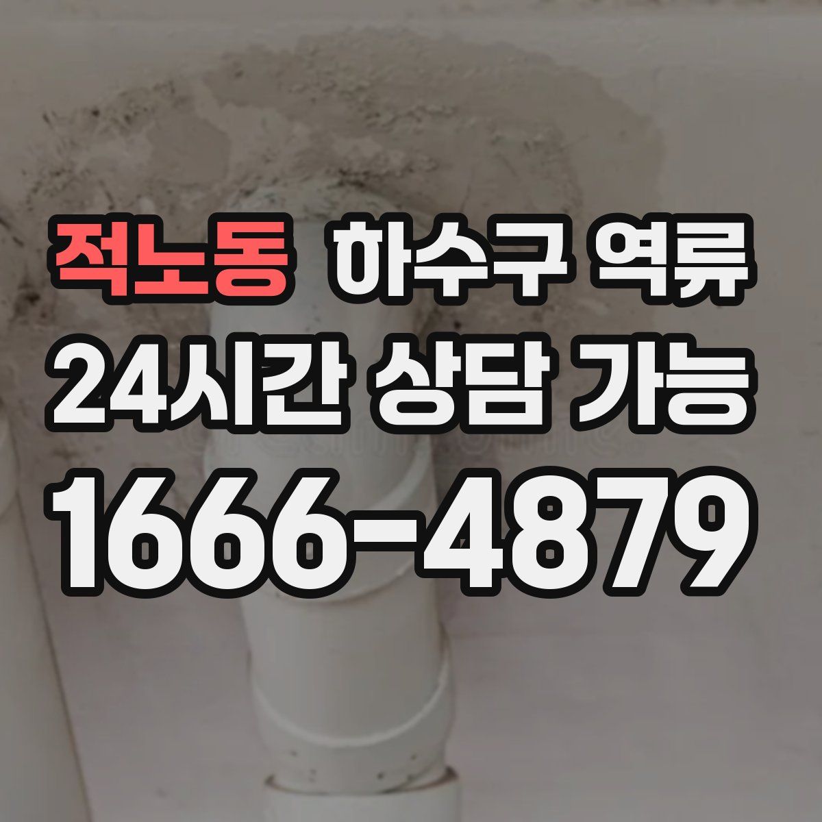 적노동 하수구 역류