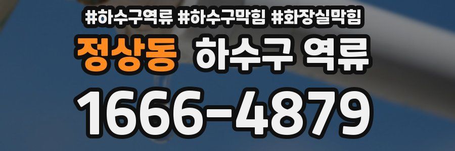 정상동 하수구 역류