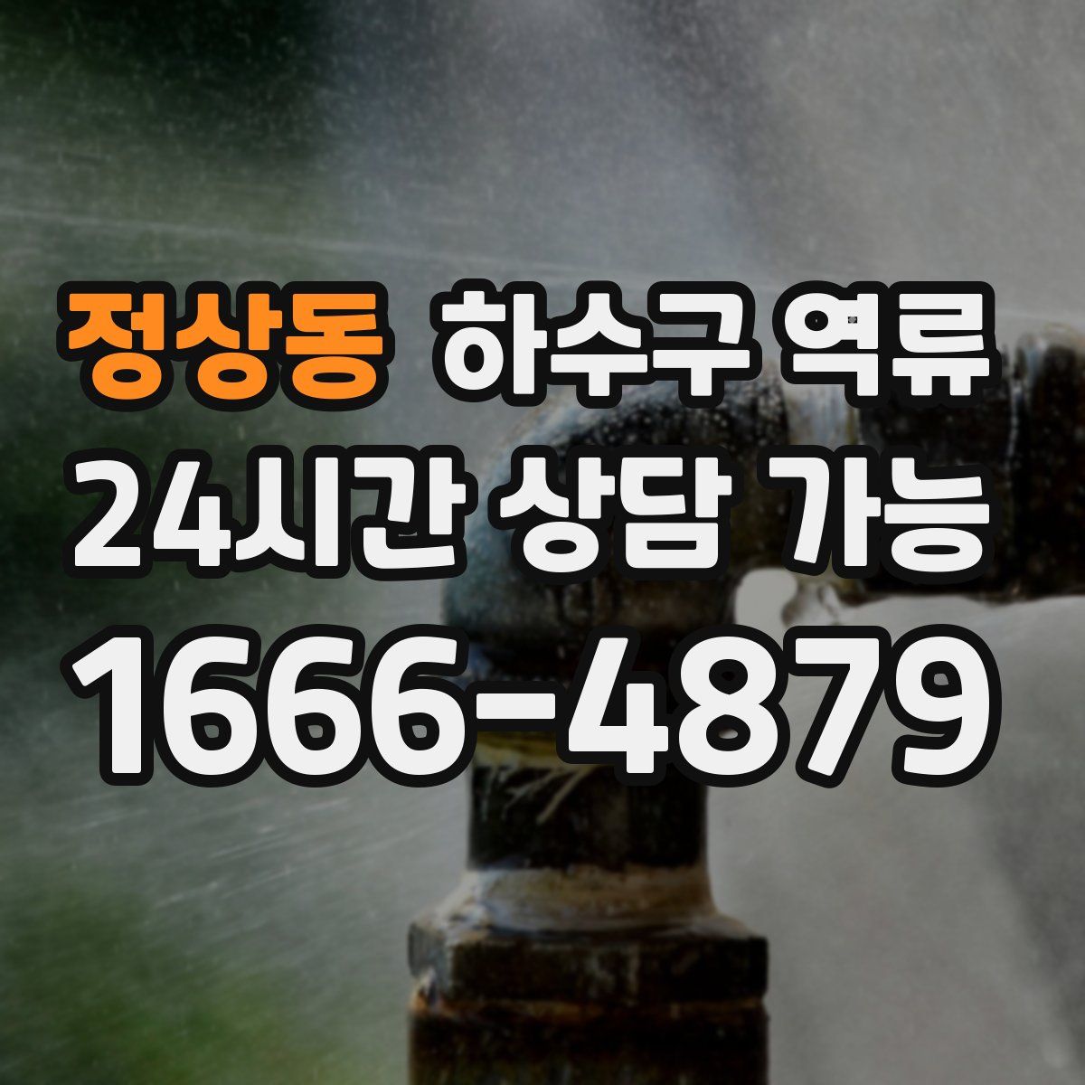 정상동 하수구 역류