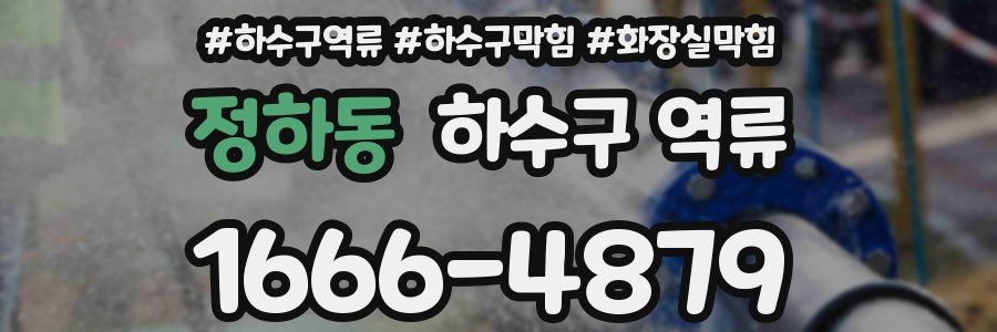 정하동 하수구 역류