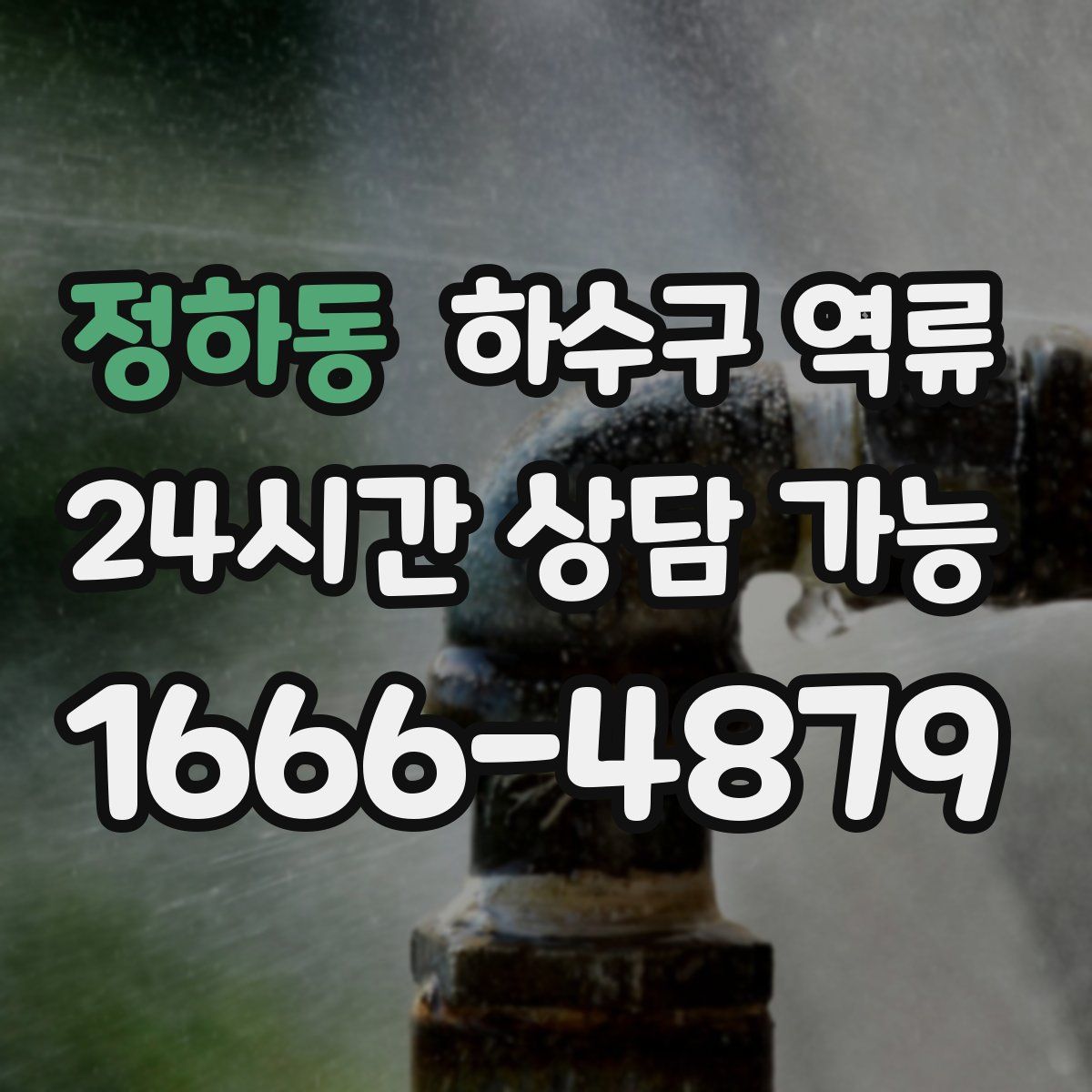 정하동 하수구 역류