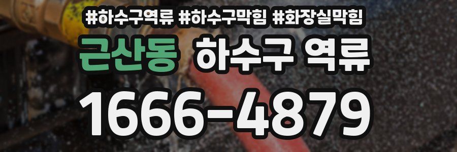 근산동 하수구 역류