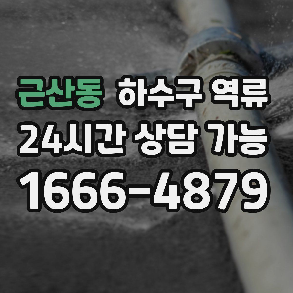 근산동 하수구 역류