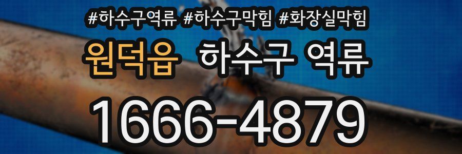 원덕읍 하수구 역류