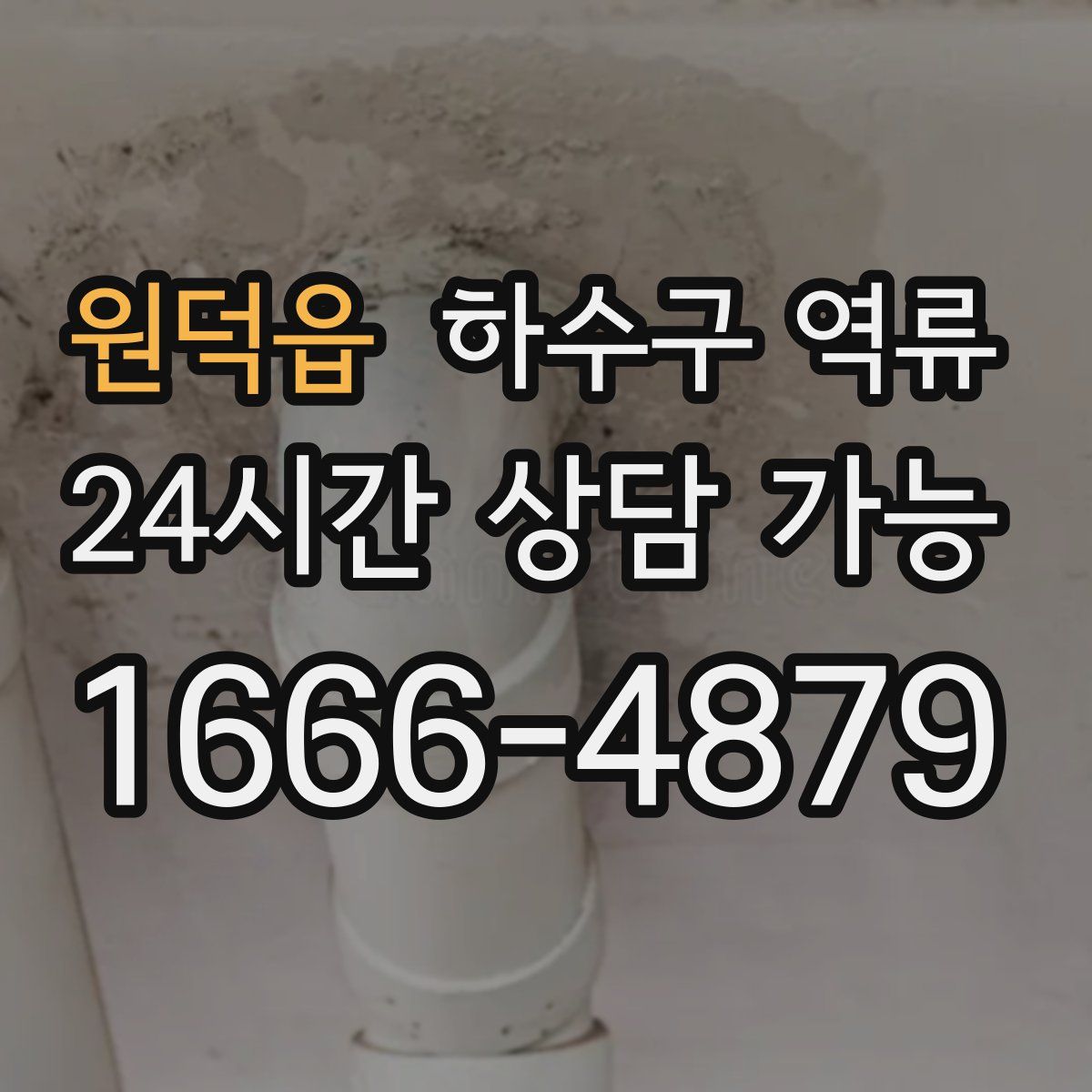 원덕읍 하수구 역류