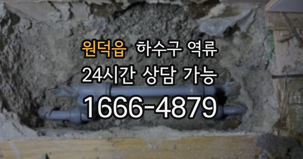 원덕읍 하수구 역류