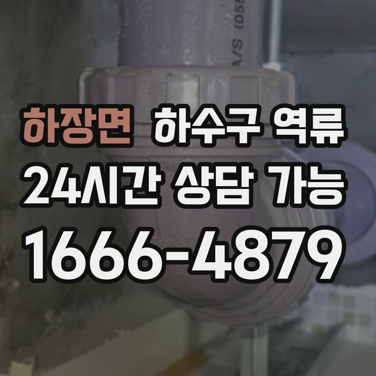 하장면 하수구 역류