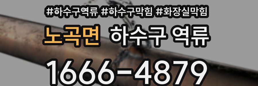 노곡면 하수구 역류
