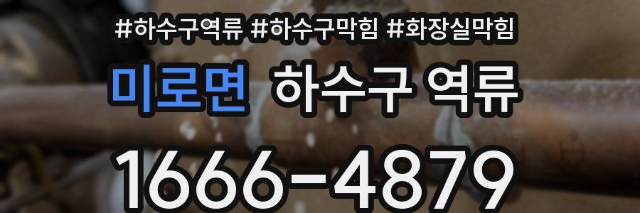 미로면 하수구 역류