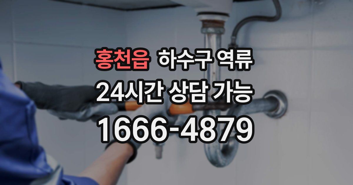 홍천읍 하수구 역류