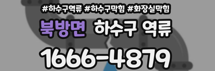 북방면 하수구 역류