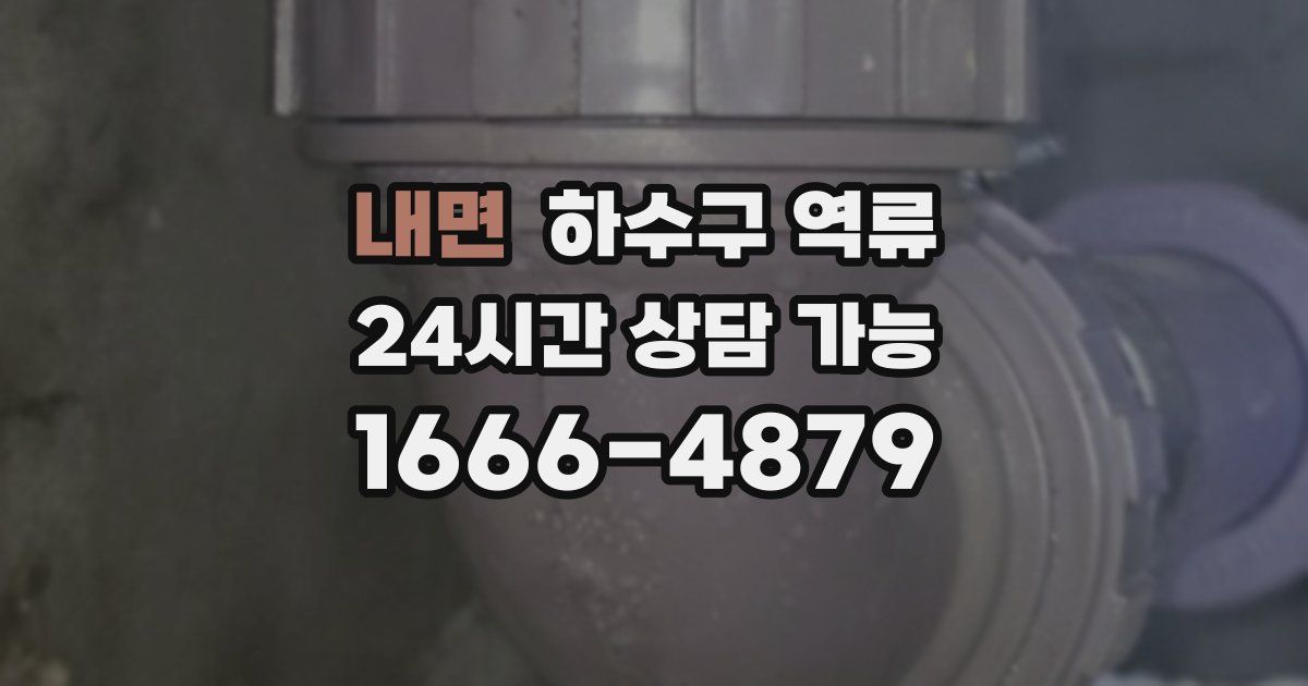 내면 하수구 역류