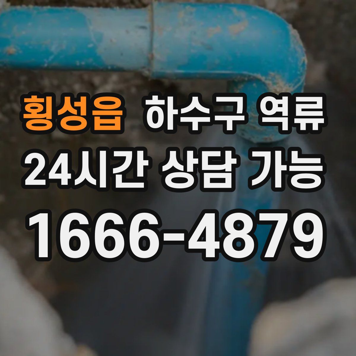 횡성읍 하수구 역류