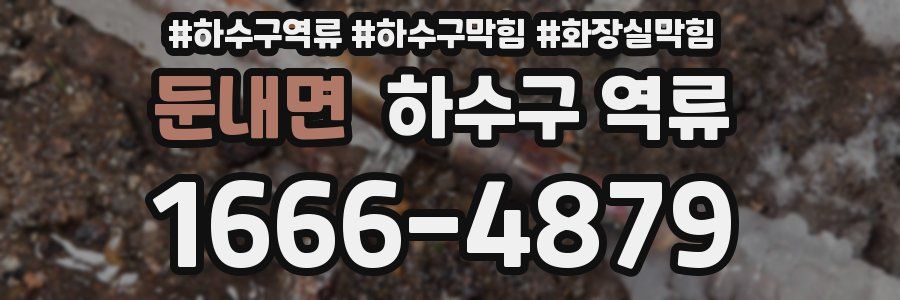 둔내면 하수구 역류