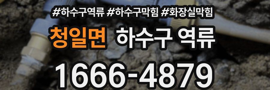 청일면 하수구 역류