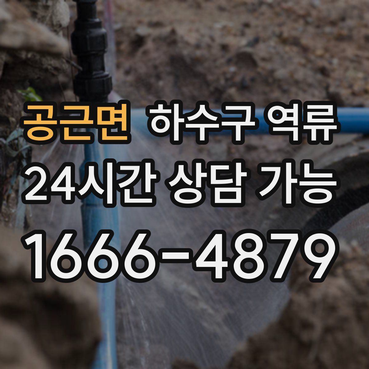 공근면 하수구 역류