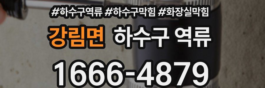 강림면 하수구 역류