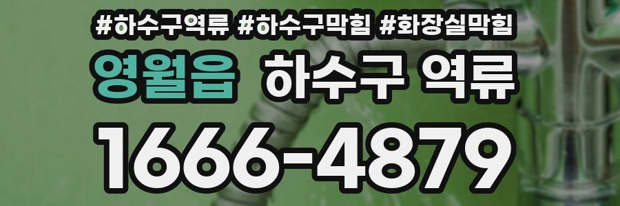 영월읍 하수구 역류