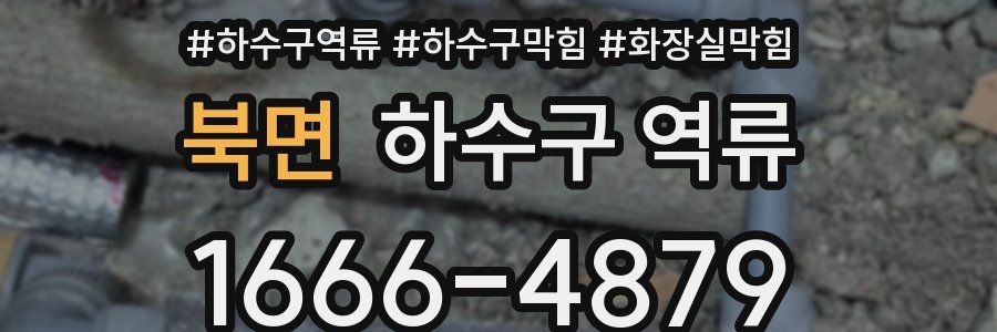 북면 하수구 역류