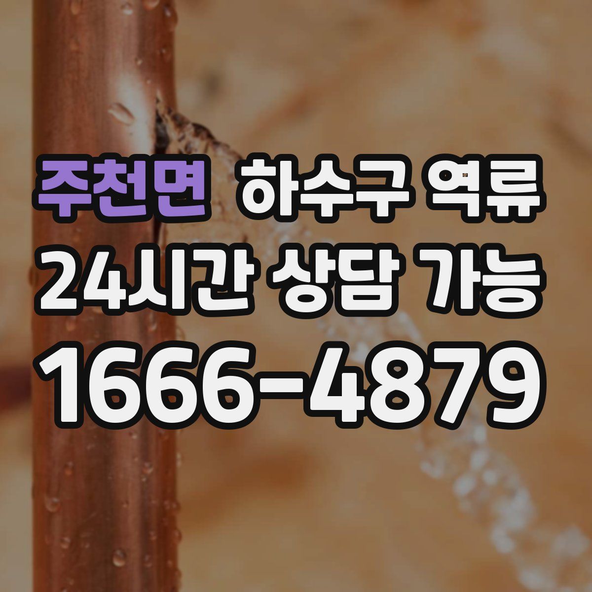 주천면 하수구 역류