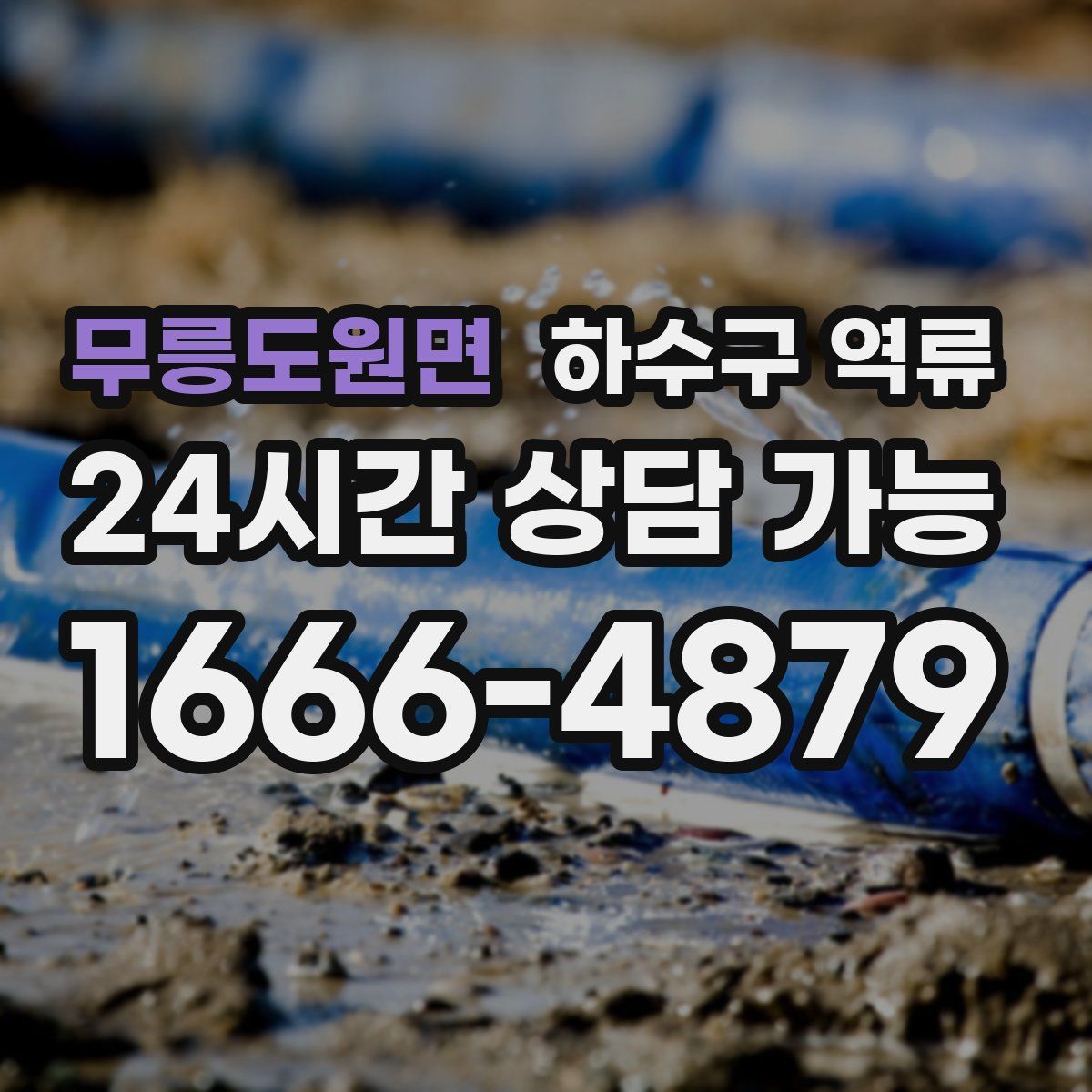 무릉도원면 하수구 역류