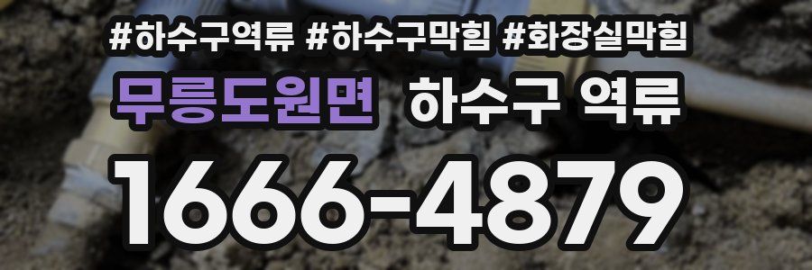 무릉도원면 하수구 역류