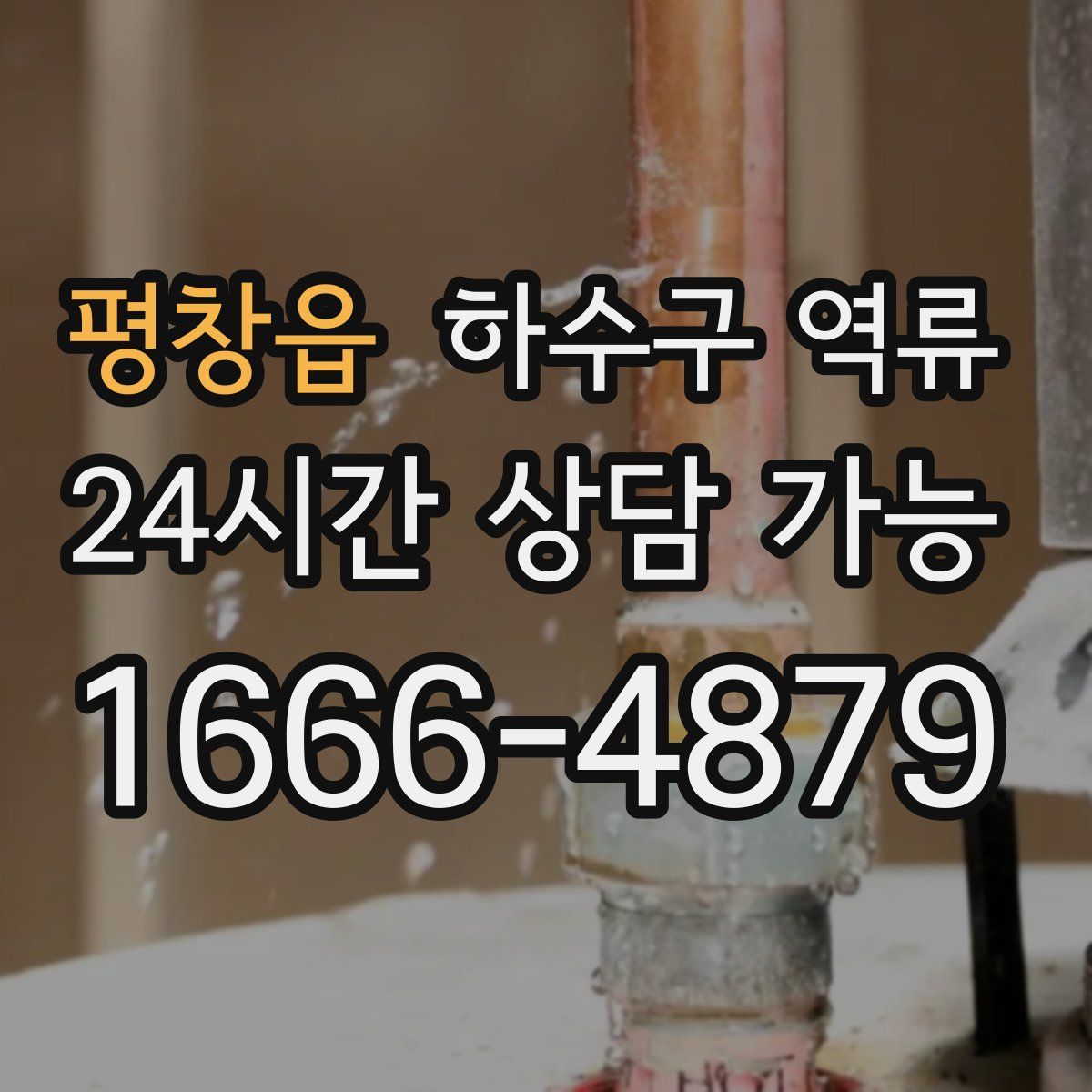 평창읍 하수구 역류