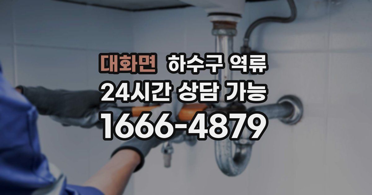 대화면 하수구 역류