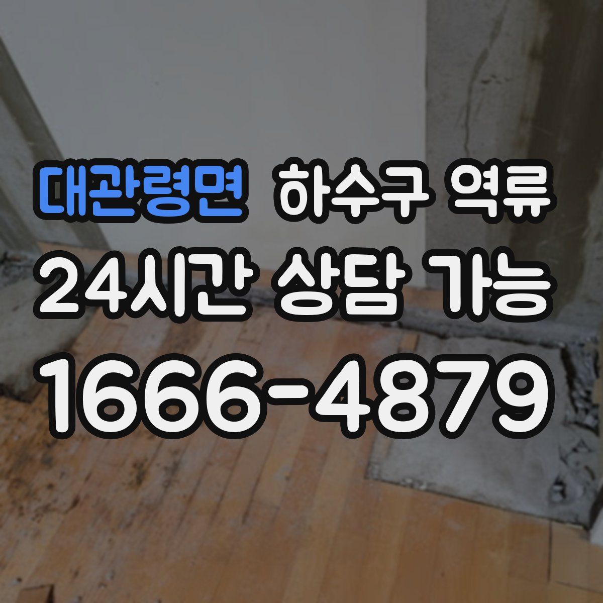 대관령면 하수구 역류