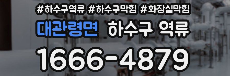 대관령면 하수구 역류