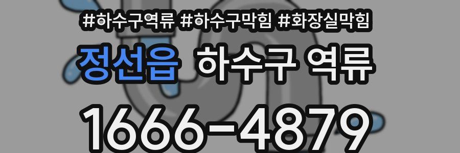 정선읍 하수구 역류