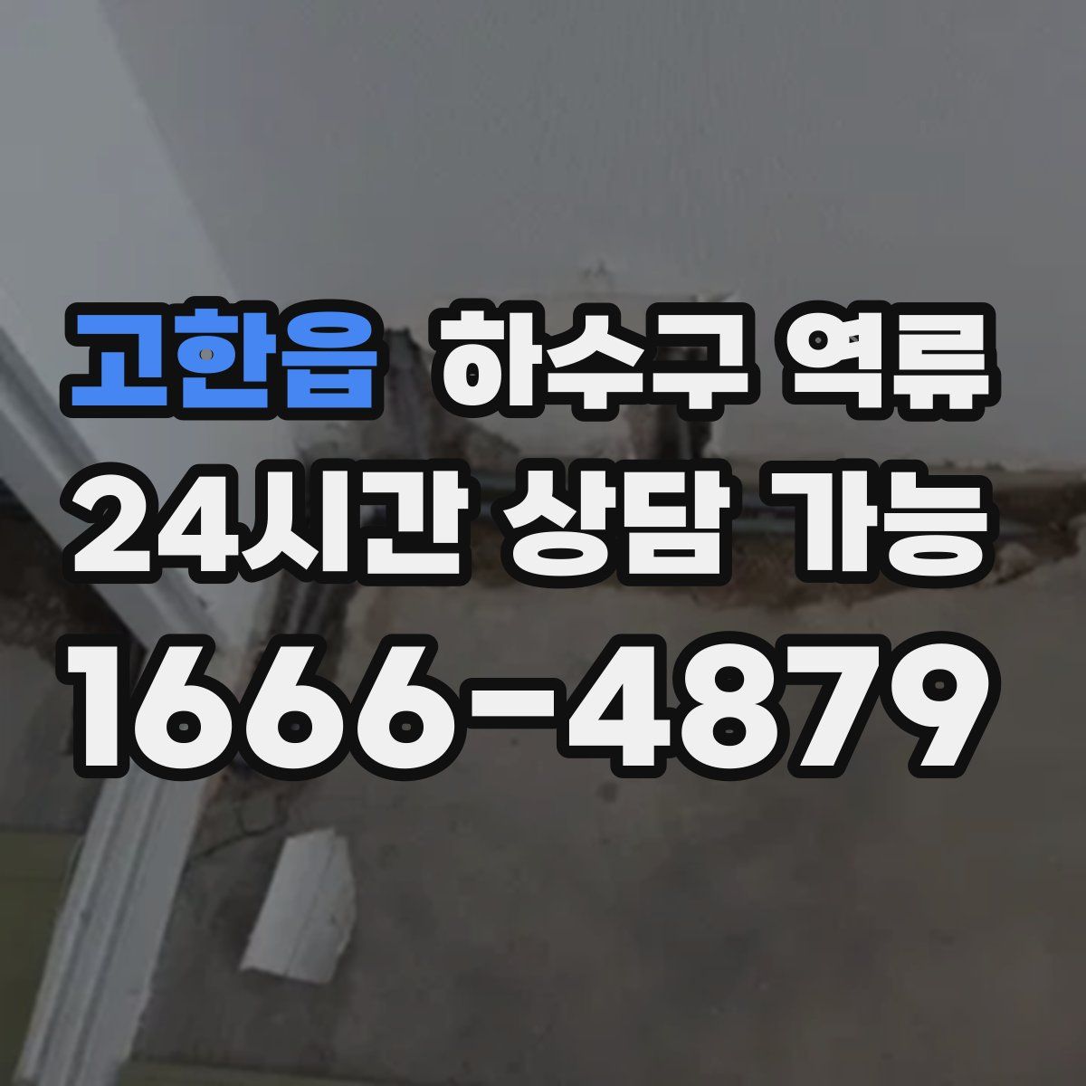 고한읍 하수구 역류