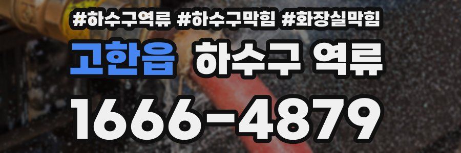 고한읍 하수구 역류