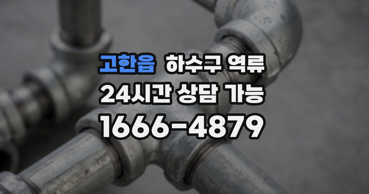 고한읍 하수구 역류