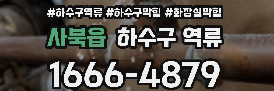 사북읍 하수구 역류