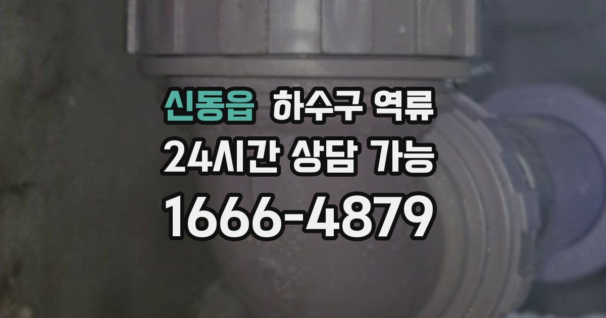 신동읍 하수구 역류