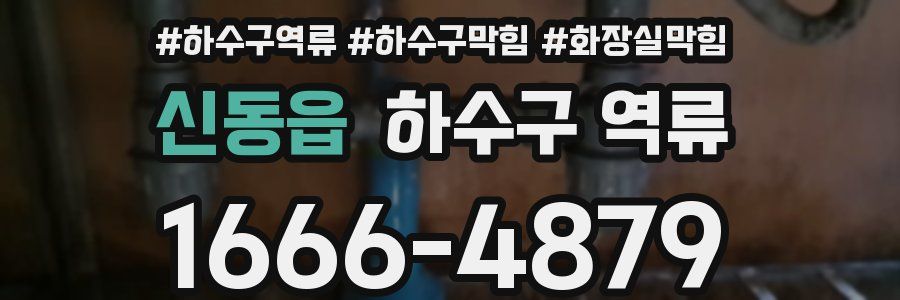 신동읍 하수구 역류