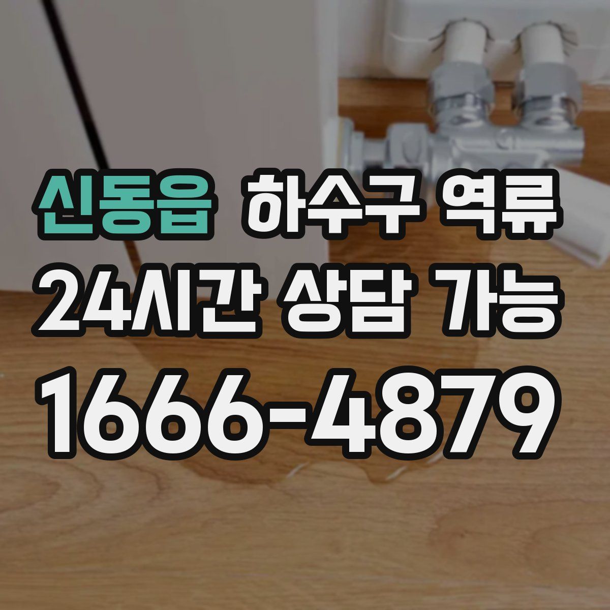 신동읍 하수구 역류