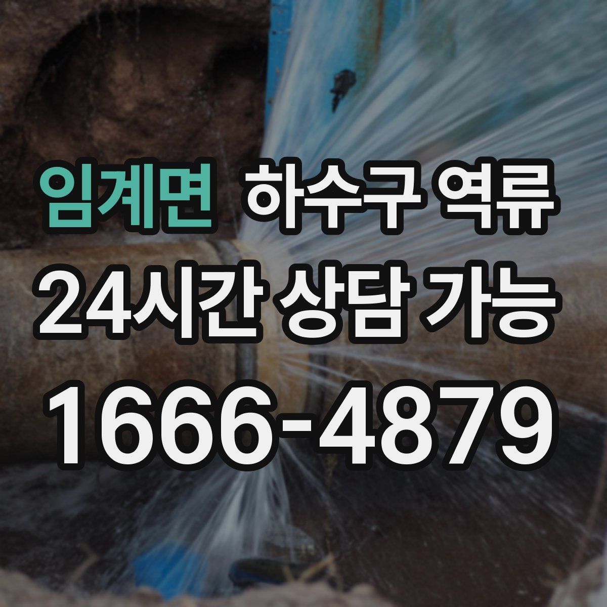 임계면 하수구 역류