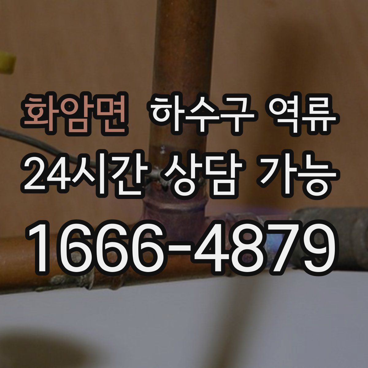 화암면 하수구 역류