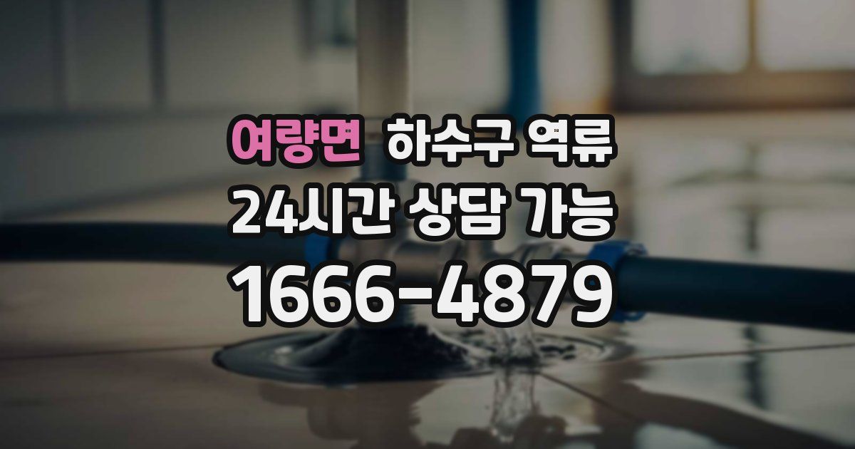 여량면 하수구 역류