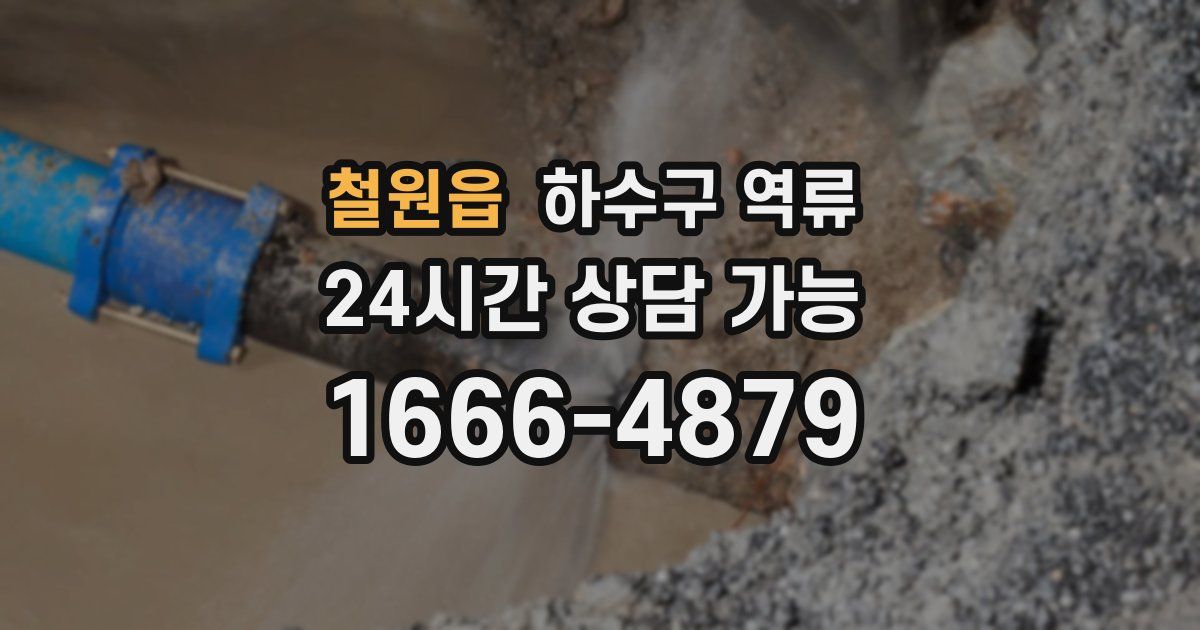 철원읍 하수구 역류