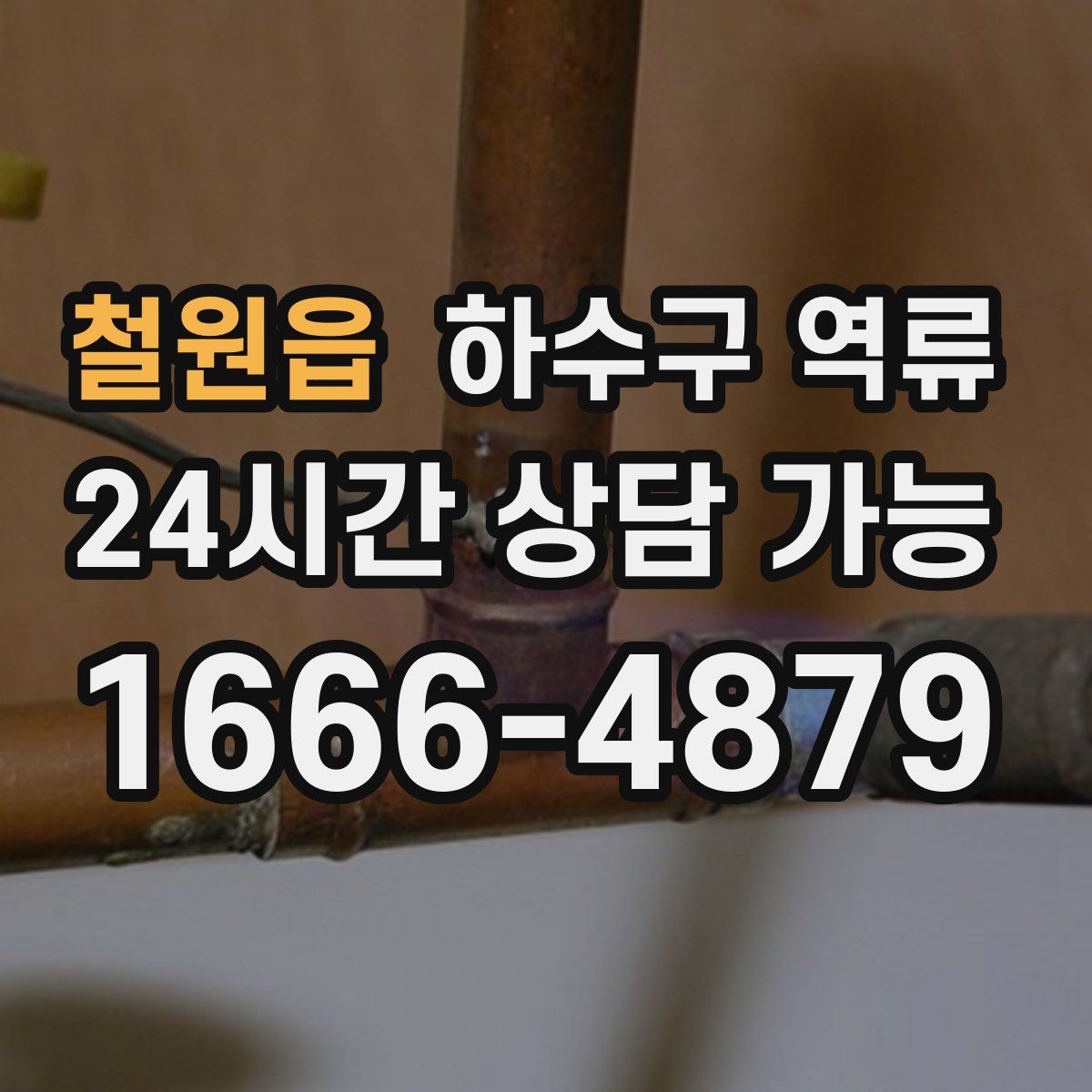 철원읍 하수구 역류