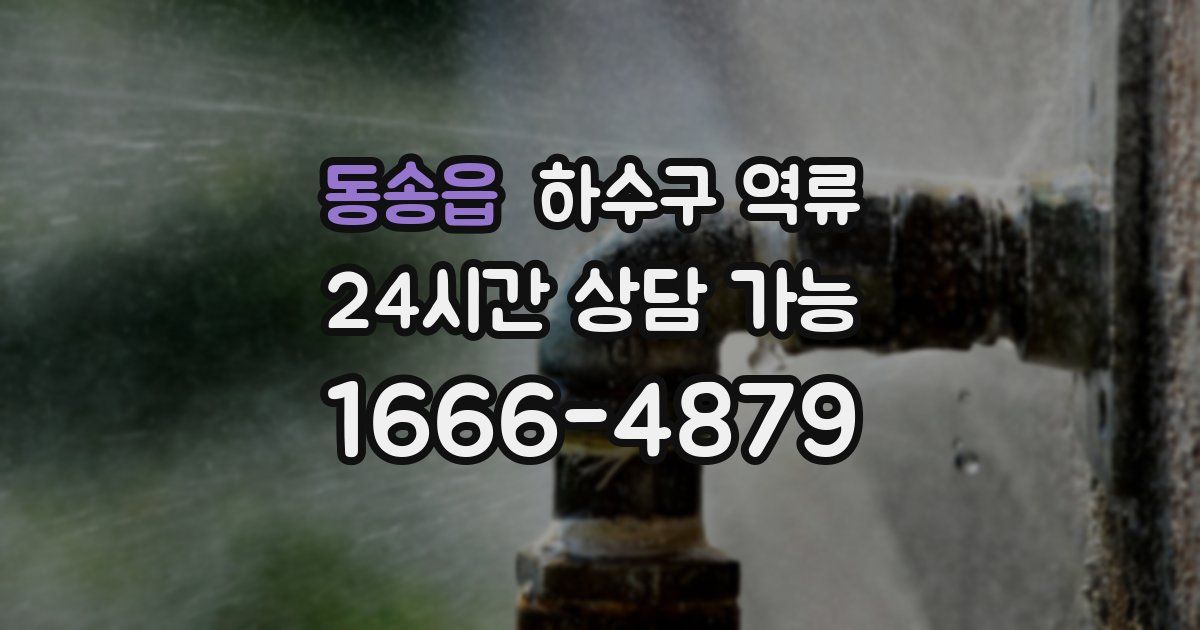 동송읍 하수구 역류