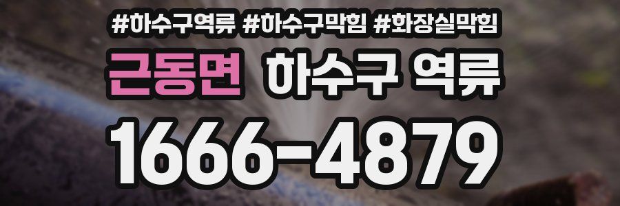 근동면 하수구 역류